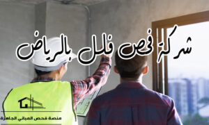 شركة فحص فلل بالرياض
