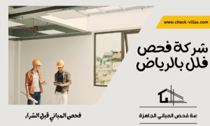 شركة فحص فلل بالرياض