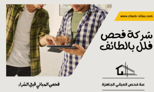 شركة فحص فلل بالطائف