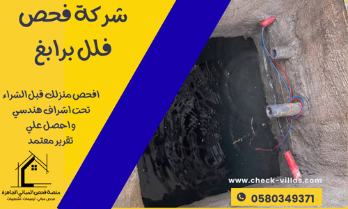 شركة فحص فلل برابغ